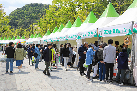 지난해 4월 용문산 관광단지에서 열린 양평 용문산 산나물축제  현장 에서 방문객들이 산나물을 구경하고 있다. [사진=양평군]