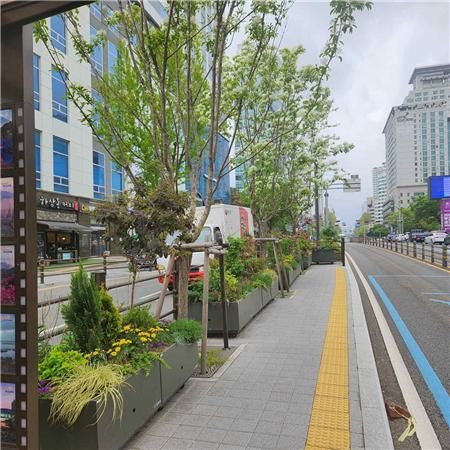 부산광역시 연제구 부산광역시청 BRT 정류소 정원형 도시숲. [사진=부산광역시]