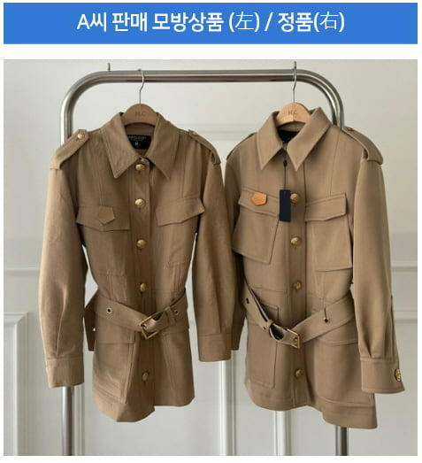 국내외 유명 브랜드 신상품 디자인을 베낀 모방품 2만여 점(정품가액 344억원 상당)을 제조&middot;판매한 혐의로 SNS 인플루언서인 기업 대표 A(34)씨가 구속 기소됐다. [사진=특허청]