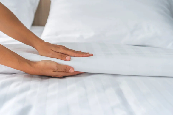 겨울철 난방 사용이 늘어나면서 빈대의 활동성이 강화할 수 있다는 전문가들의 경고가 제시됐다. 사진은 본 기사 내용과 무관. [사진= Alsco Uniforms]