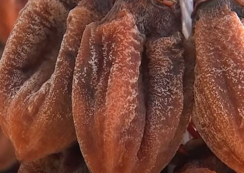 가을을 맞아 각 지역들의 곶감이 출하 준비를 하고 있다. [사진=YTN 보도화면 캡처]