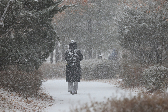 지난 2월 6일 서울 서초구 삼호가든사거리 인근에서 한 시민이 눈을 맞으며 이동하고 있다. [사진=연합뉴스]