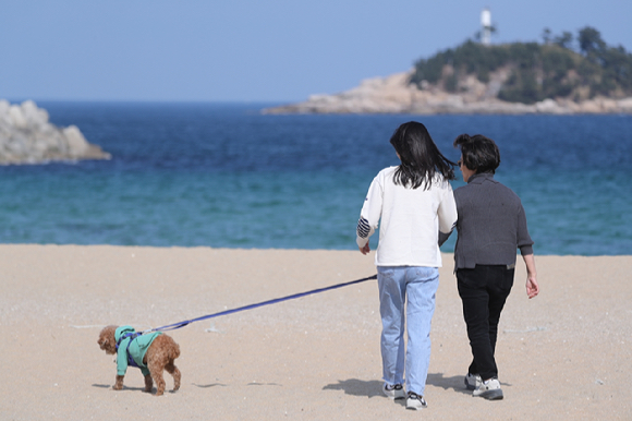 지난 12일 오후 강원 속초 해수욕장에서 시민이 가벼운 옷차림으로 반려견과 산책하고 있다. [사진=연합뉴스]