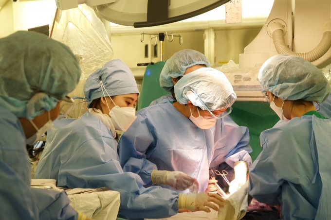 산부인과 의사가 수술을 하는 모습. 사진은 기사와 무관 [사진=서울아산병원]