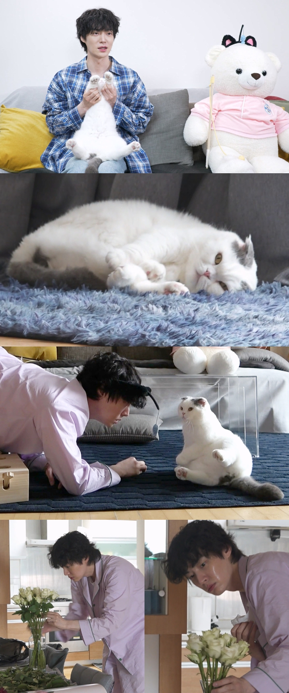 '나 혼자 산다' 안재현이 반려묘 안주와 함께 하는 일상을 공개했다. [사진=MBC]