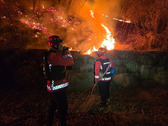 산림재난 특수진화대원들이 23일 오전 2시쯤 충북 단양 대강면에서 발생한 산불을 진화하고 있다. [사진=산림청]