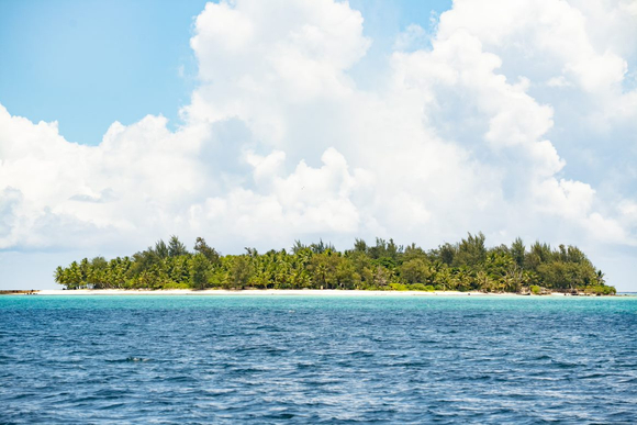 쿠팡플레이가 리얼 데이팅 예능 '체인리액션'의 제작을 확정했다. [사진=쿠팡플레이]
