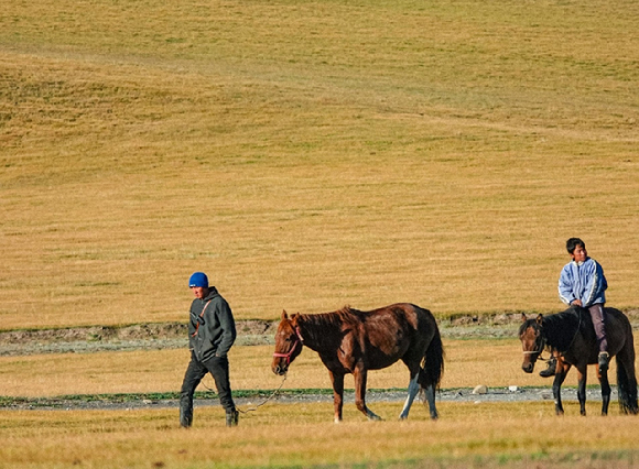 몽골 초원 이미지 [사진=픽셀스]