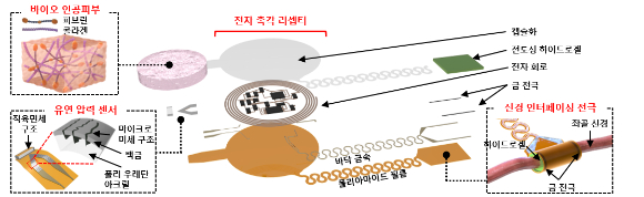 KIST 연구진이 개발한 인체 이식형 촉각 기능 스마트 바이오닉 인공피부. 바이오 인공피부, 유연 압력 센서, 전자 촉각 리셉터, 신경 인터페이싱 전극 등으로 구성됐다. [사진=KIST]