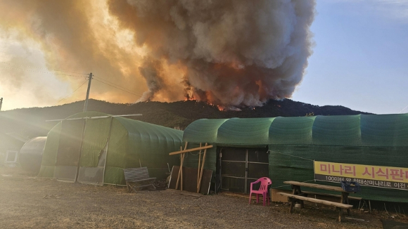 밀양 산불 현장 인근에 연기가 피어 오른 모습 [사진=독자제공/연합뉴스]