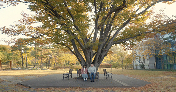 개복치 왕자의 꿈 스틸컷. [사진=포항시청]