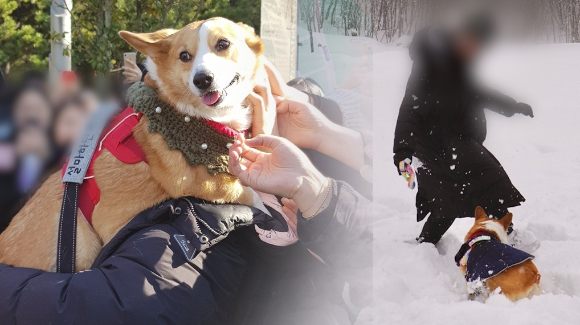 궁금한 이야기 Y [사진=SBS]