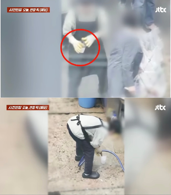 쓰레기통 뒤져서 꺼낸 '얼음 재사용' 논란 [사진=JTBC '사건반장']