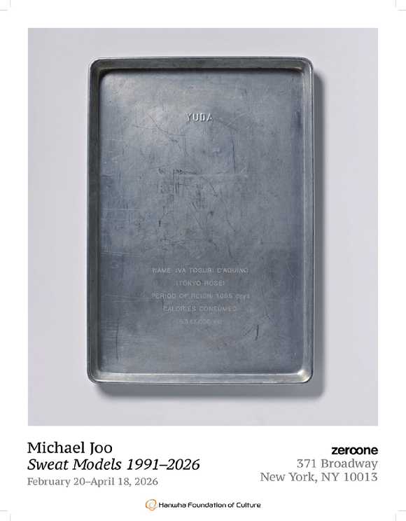 마이클 주 개인전 포스터. [사진=한화문화재단]