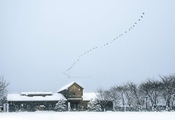 상하농원 전경. [사진=상하농원]