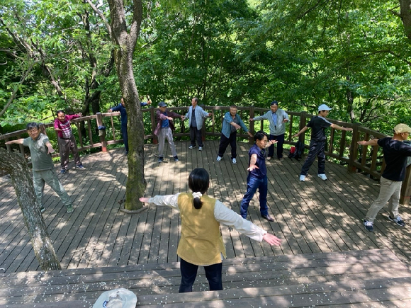 치매 예방 항노화 산림치유 프로그램 참가자들. [사진=한국산림복지진흥원]