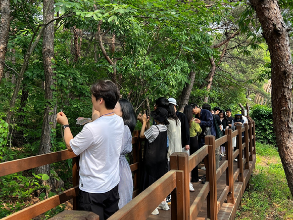지난 31일 국립대전숲체원에서 임신부부가 숲태교 프로그램에 참여하고 있다. [사진=한국산림복지진흥원 국립대전숲체원]