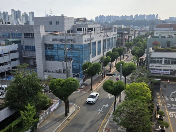 제주특별자치도 서귀포시 가로수. [사진=산림청]