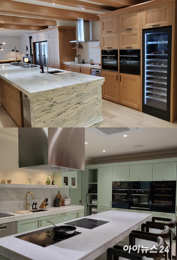 이신영 일렉트로룩스코리아 대표가 일렉트로룩스코리아의 비전을 설명하고 있다. [사진=서민지 기자]