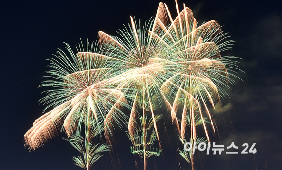 5일 밤 서울 여의도 한강공원에서 열린 '서울세계불꽃축제 2024' 에서 화려한 불꽃들이 밤 하늘을 수놓고 있다. [사진=곽영래 기자]