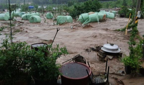 17일 충남 예산군 봉산면에서 산사태로 떠밀려온 흙더미가 한 축사를 덮쳐 소가 매몰돼 있다. 본 기사와 무관한 이미지. [사진=연합뉴스]