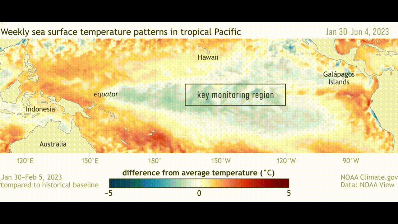지난 1월 30일부터 6월 4일까지 적도 부근 태평양 바다온도 변화. 차가운 라니냐에서 뜨거운 엘니뇨로 변화하고 있다. [사진=NOAA]