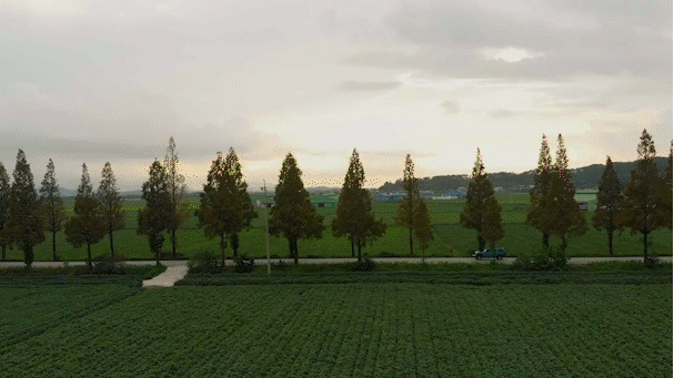 스윗소로우의 새 싱글 '러브 드라이브 (Feat. meenoi)' 뮤직비디오 티저가 공개돼 관심을 모으고 있다. [사진=스윗소로우 '러브 드라이브' MV 티저 영상 캡쳐]