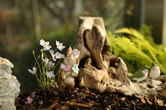 깽깽이풀 [사진=산림청 ]