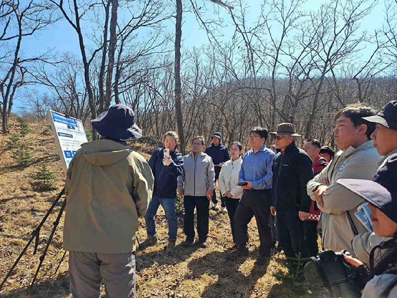 산림청 직원들이 멸종위기 구상나무 복원전략 마련을 위한 현장토론회를 진행하고 있다 [사진=산림청]