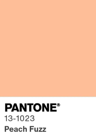 미국의 글로벌 색채연구소 팬톤이 오는 2024년을 대표하는 색으로 피치 퍼즈(Peach Fuzz)를 선정했다. [사진=팬톤 홈페이지 캡처]