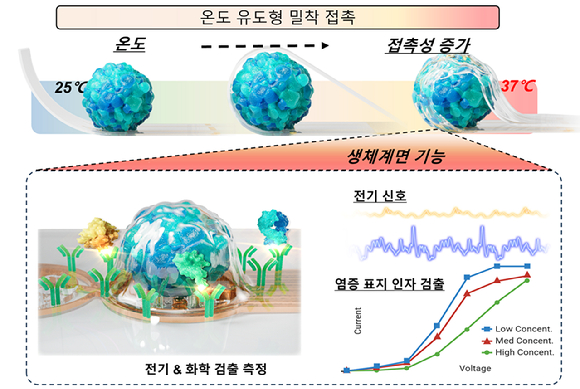 신경·염증 신호 동시 측정하는 3D 전자칩 개발 外 [과학게시판]