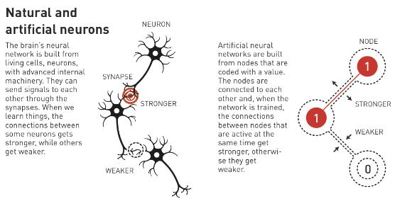 신경세포인 뉴런과 시냅스, 인공 신경망의 노드. 올해 노벨물리학상은 물리학을 이용해 인공 신경망을 발견, 발명한 두 명의 과학자에게 돌아갔다. [사진=노벨상위원회]