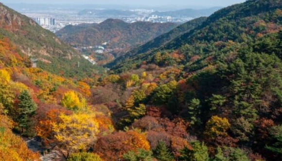 경북 구미 금오산에서 10대 여학생이 추락하는 사고가 발생했다. 사진은 금오산 전경. [사진=한국관광공사]