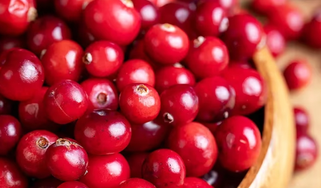 크랜베리 추출물이 장내 유익균 증식과 장 건강 개선에 효과적이라는 연구 결과가 공개됐다. 사진은 본 기사 내용과 무관. [사진=Twinings]