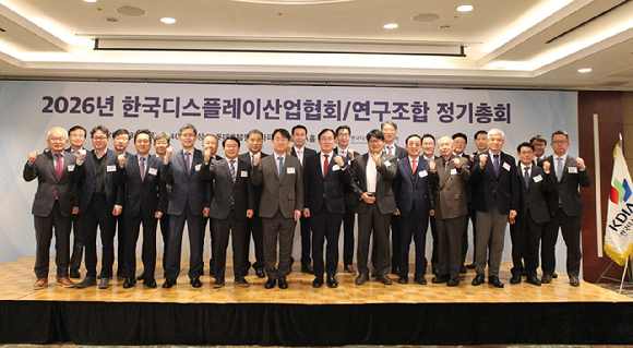 디스플레이 특별법 추진…"반도체처럼 국가 지원 필요"