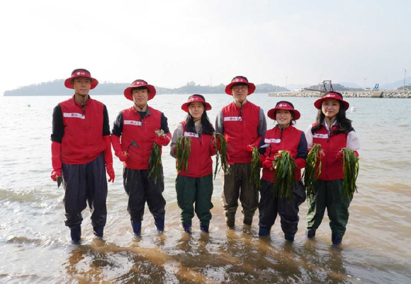 LG화학 임직원들이 여수 대경도 앞바다에서 잘피 2만주 추가이식 기념 촬영을 하고있다.[사진=LG화학]