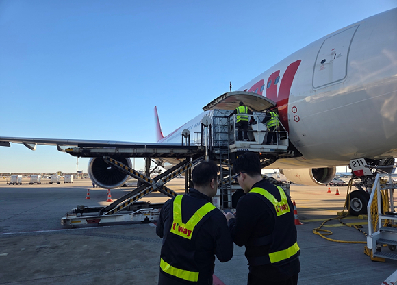 티웨이항공과 관계자들이 프랑크푸르트 공항에서 화물 운송 품질 점검을 하고 있다. [사진=티웨이항공]