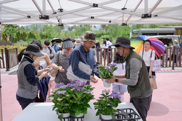 국립세종수목원에서 식물보전캠페인에 참여한 관람객에게 반려식물을 나눠주고 있다. [사진=한국수목원정원관리원/산림청]