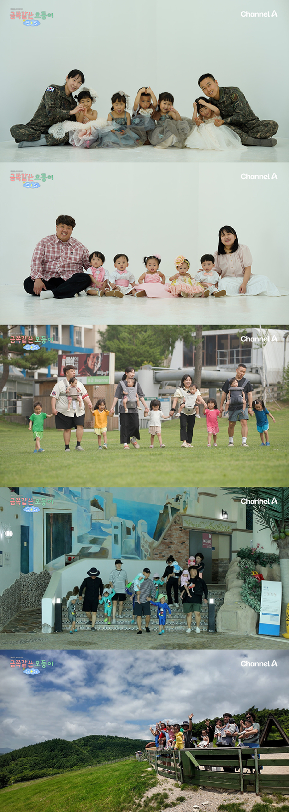 금쪽같은 오둥이 5+5 [사진=채널A ]