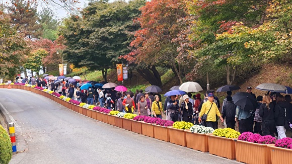 청남대 가을축제를 즐기기 위한 방문객들이 인산인해를 이루고 있다. [사진=충북도]