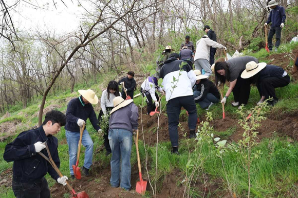 에릭슨코리아 임직원들이 지난 20일 서울 마포구 노을공원에서 나무 심기 봉사활동을 진행하고 있는 모습. [사진=에릭슨]
