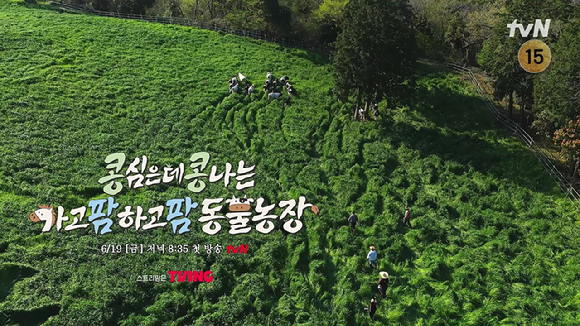 콩콩팜팜 [사진=tvN ]