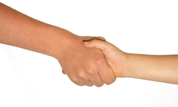 튀르키예에서 한 남성이 이혼한 전처에게 '고양이 양육비' 명목으로 매 분기 34만원을 지급하기로 합의해 화제다. 사진은 일반 고양이로, 본 기사 내용과 무관. [사진=Freepik]