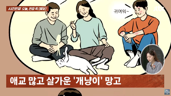 집에서 키우는 고양이 때문에 30대 아들과 갈등을 빚고 있다는 한 중년 여성의 사연이 전해졌다. [사진=JTBC]