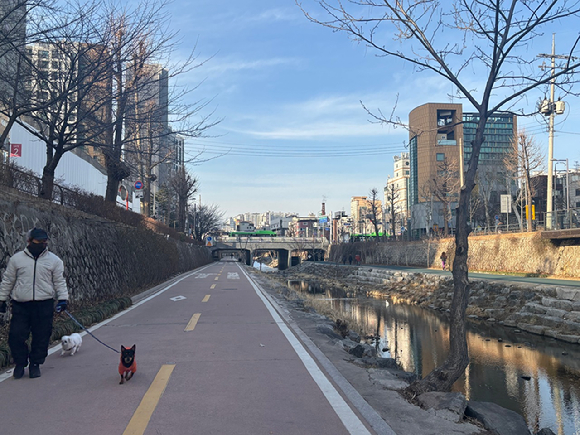 서울 성북구 보문동 '보문 센트럴 아이파크' 시공 현장. [사진=김민지 기자]