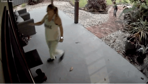 전문가들은 입을 모아 야생동물과의 접촉을 피해야 한다고 조언했다. 사진은 화식조. [사진=tamansafari @Adithya Amirajab]