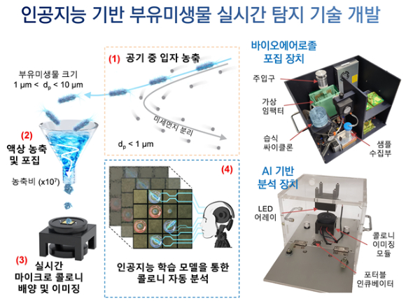 국내연구팀이 인공지능 기반 부유미생물 실시간 탐지 기술을 내놓았다. [사진=한국연구재단]