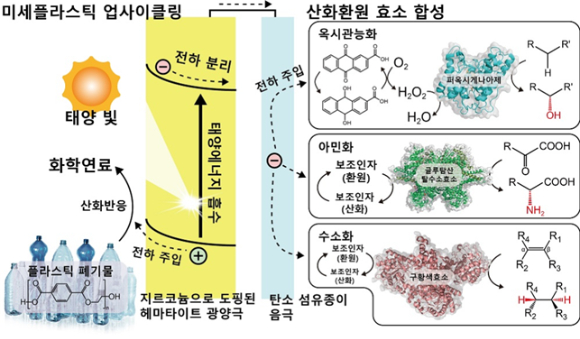 광전기화학적 미세플라스틱 업사이클링과 미세플라스틱에서 추출한 전자에 의해 활성화된 생체촉매 반응에 대한 모식도. [사진=KAIST]