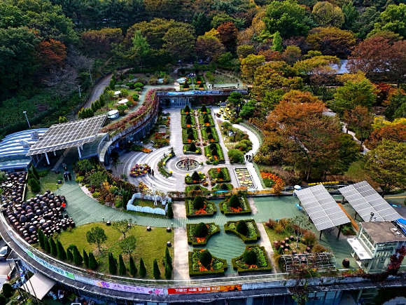 경상북도 포항시 기청산 식물원. [사진=산림청]