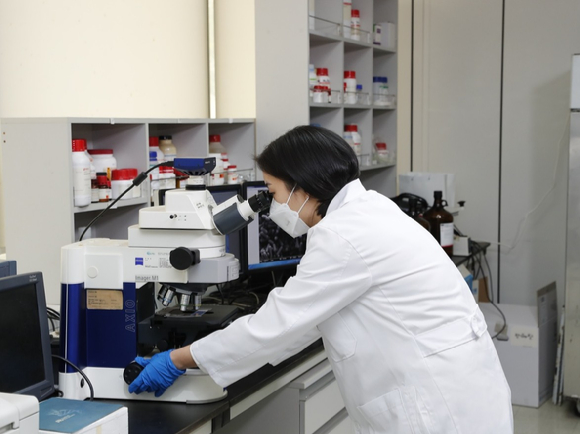 현미경으로 균주를 관찰하고 있는 hy 중앙연구소 연구원. [사진=hy]